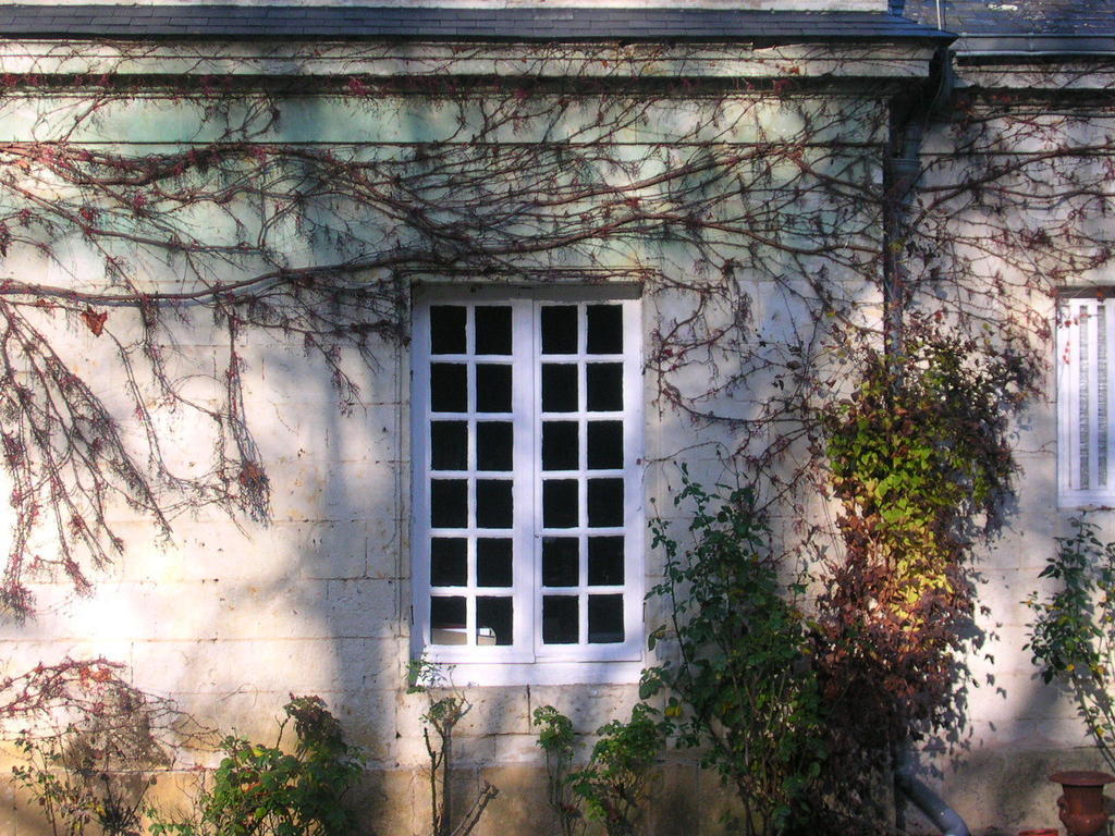 La Mesnagerie Bed & Breakfast Jarze Luaran gambar